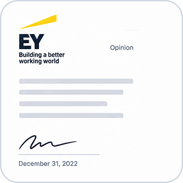 EY 意见书,2022 年 12 月 31 日